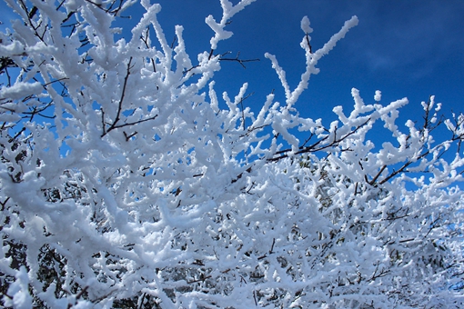 描写雪景的古诗词集合 古代经典雪景诗词句介绍