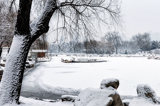 描写雪景的古诗词集合 古代经典雪景诗词句介绍