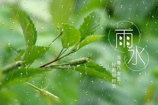 雨水节气的含义是什么意思